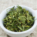 Rempah -rempah sayur -sayuran kering dan batang cilantro premium